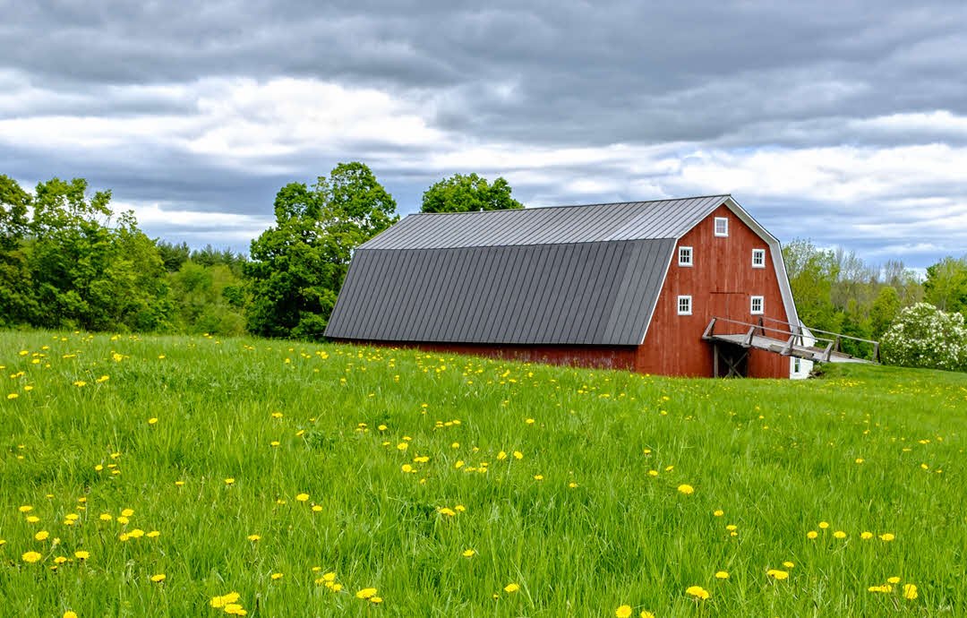 Amish Barn in a Green Field
