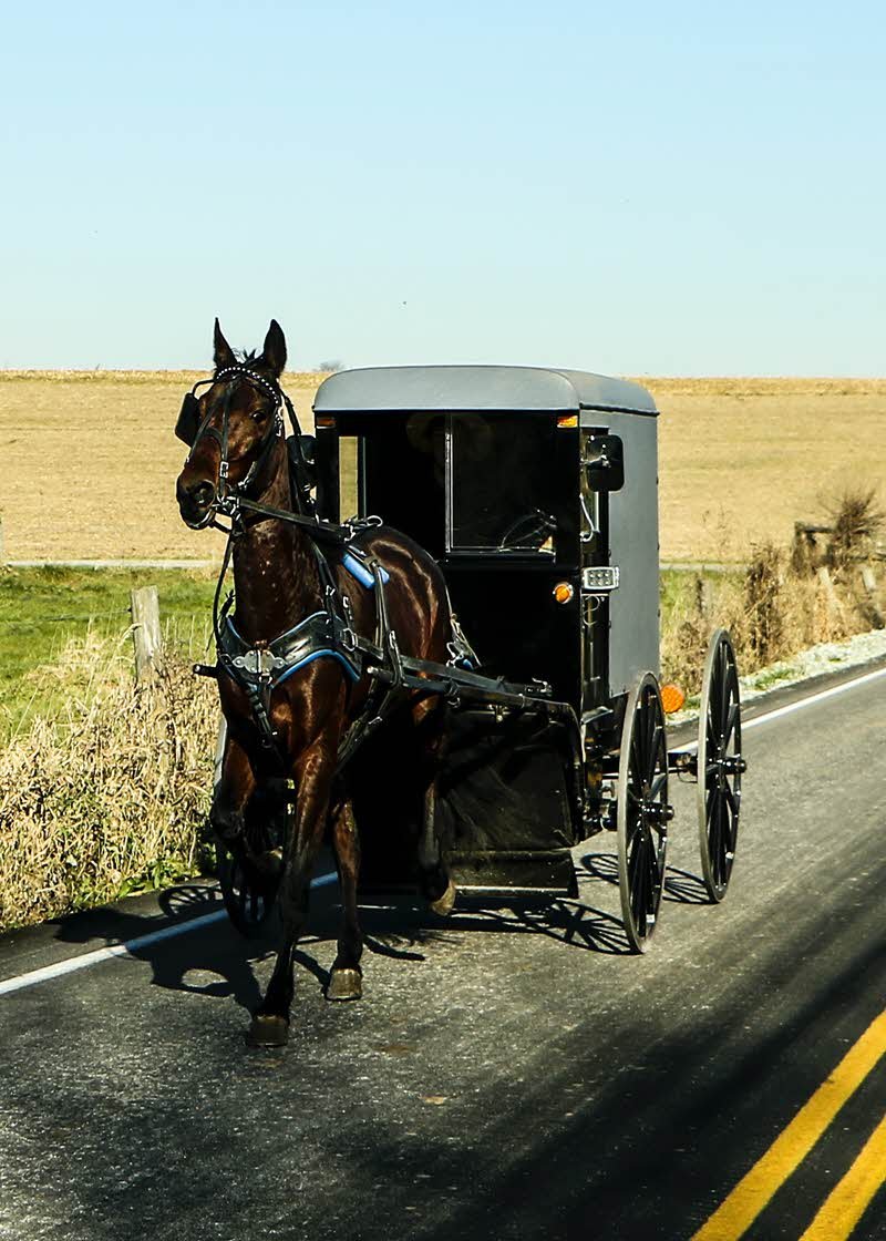 Amish Barns and The Amish - Expert Barn Builders