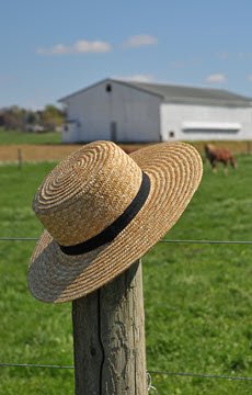 Amish Hat On Pole